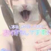 ヒメ日記 2026/02/26 08:55 投稿 あげは ナチュラルプリンセス