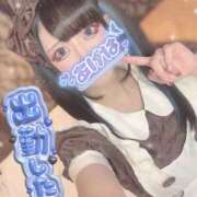 ヒメ日記 2026/02/26 14:25 投稿 あげは ナチュラルプリンセス