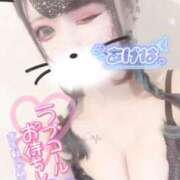 ヒメ日記 2026/03/01 10:25 投稿 あげは ナチュラルプリンセス