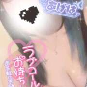 ヒメ日記 2026/03/02 09:55 投稿 あげは ナチュラルプリンセス