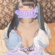 ヒメ日記 2026/03/02 17:25 投稿 あげは ナチュラルプリンセス