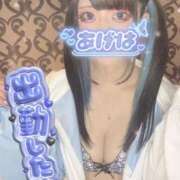 ヒメ日記 2026/03/07 14:25 投稿 あげは ナチュラルプリンセス