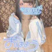 ヒメ日記 2026/03/09 06:55 投稿 あげは ナチュラルプリンセス
