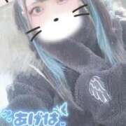 ヒメ日記 2026/03/12 02:55 投稿 あげは ナチュラルプリンセス