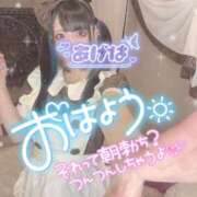 ヒメ日記 2026/03/12 04:55 投稿 あげは ナチュラルプリンセス