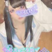 ヒメ日記 2026/03/13 11:13 投稿 あげは ナチュラルプリンセス