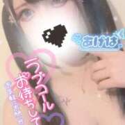 ヒメ日記 2026/03/18 10:05 投稿 あげは ナチュラルプリンセス