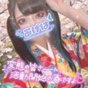 ヒメ日記 2026/03/19 20:50 投稿 あげは ナチュラルプリンセス