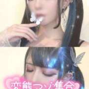 ヒメ日記 2026/03/20 07:05 投稿 あげは ナチュラルプリンセス