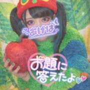 ヒメ日記 2026/03/20 16:16 投稿 あげは ナチュラルプリンセス