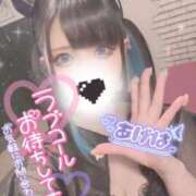 ヒメ日記 2026/03/21 10:05 投稿 あげは ナチュラルプリンセス