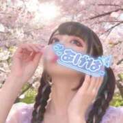 ヒメ日記 2026/03/23 14:40 投稿 あげは ナチュラルプリンセス