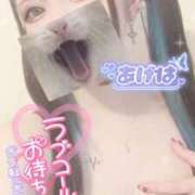 ヒメ日記 2026/03/24 10:07 投稿 あげは ナチュラルプリンセス