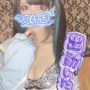 ヒメ日記 2026/03/27 14:25 投稿 あげは ナチュラルプリンセス