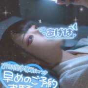 ヒメ日記 2026/03/28 02:15 投稿 あげは ナチュラルプリンセス