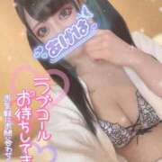 ヒメ日記 2026/03/28 10:35 投稿 あげは ナチュラルプリンセス