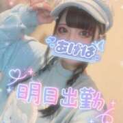 ヒメ日記 2026/03/31 10:25 投稿 あげは ナチュラルプリンセス