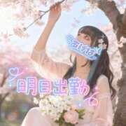 ヒメ日記 2026/03/31 23:05 投稿 あげは ナチュラルプリンセス