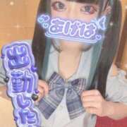 ヒメ日記 2026/04/01 14:25 投稿 あげは ナチュラルプリンセス