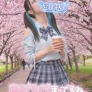 ヒメ日記 2026/04/06 10:25 投稿 あげは ナチュラルプリンセス