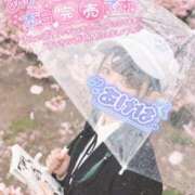 ヒメ日記 2026/04/11 10:23 投稿 あげは ナチュラルプリンセス