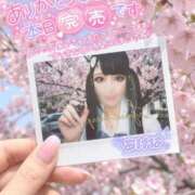 ヒメ日記 2026/04/12 10:05 投稿 あげは ナチュラルプリンセス