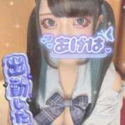 ヒメ日記 2026/04/12 14:25 投稿 あげは ナチュラルプリンセス