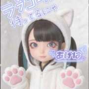 ヒメ日記 2026/04/15 10:05 投稿 あげは ナチュラルプリンセス