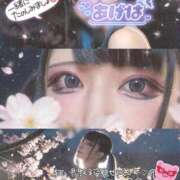 ヒメ日記 2026/04/17 04:55 投稿 あげは ナチュラルプリンセス