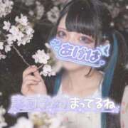 ヒメ日記 2026/04/17 10:08 投稿 あげは ナチュラルプリンセス