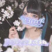 ヒメ日記 2026/04/20 12:17 投稿 あげは ナチュラルプリンセス