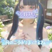 ヒメ日記 2026/04/29 11:05 投稿 あげは ナチュラルプリンセス