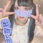 ヒメ日記 2026/05/10 15:05 投稿 あげは ナチュラルプリンセス
