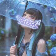 ヒメ日記 2026/06/03 09:45 投稿 あげは ナチュラルプリンセス