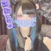 ヒメ日記 2026/06/20 14:35 投稿 あげは ナチュラルプリンセス
