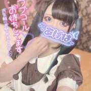 ヒメ日記 2026/06/29 09:45 投稿 あげは ナチュラルプリンセス