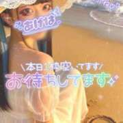 ヒメ日記 2026/07/20 10:05 投稿 あげは ナチュラルプリンセス