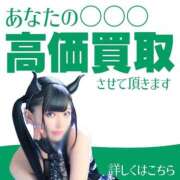 ヒメ日記 2026/07/29 07:50 投稿 あげは ナチュラルプリンセス