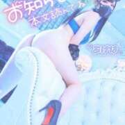 ヒメ日記 2026/08/25 12:00 投稿 あげは ナチュラルプリンセス