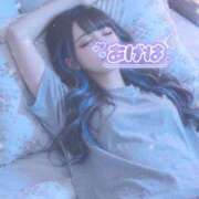 ヒメ日記 2026/10/11 06:15 投稿 あげは ナチュラルプリンセス