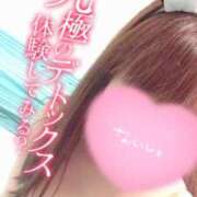 ヒメ日記 2025/05/20 22:22 投稿 モモカ バニーコレクション新潟店