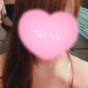 ヒメ日記 2026/01/24 15:39 投稿 モモカ バニーコレクション新潟店