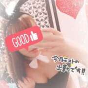 ヒメ日記 2026/01/25 07:32 投稿 モモカ バニーコレクション新潟店