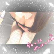 ヒメ日記 2026/01/25 09:03 投稿 モモカ バニーコレクション新潟店