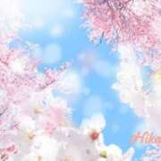 ヒメ日記 2025/04/07 15:50 投稿 浅岡ひかり 五十路マダムエクスプレス船橋店(カサブランカグループ)