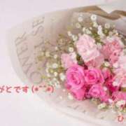 浅岡ひかり 今日も… 五十路マダムエクスプレス船橋店(カサブランカグループ)