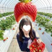 ヒメ日記 2026/03/05 22:08 投稿 音符どれみ 聖リッチ女学園