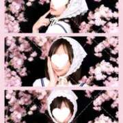 ヒメ日記 2026/03/26 13:28 投稿 音符どれみ 聖リッチ女学園