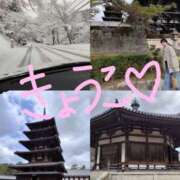 ヒメ日記 2025/03/19 21:45 投稿 きょうこ バイオレンス