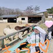 ヒメ日記 2025/04/08 20:35 投稿 きょうこ バイオレンス